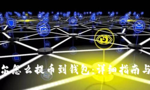 比特尔怎么提币到钱包:详细指南与技巧