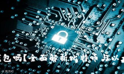 比特币能存ETH钱包吗？全面解析比特币与以太坊钱包的兼容性