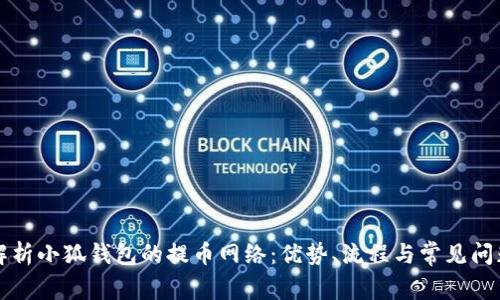 解析小狐钱包的提币网络:优势、流程与常见问题
