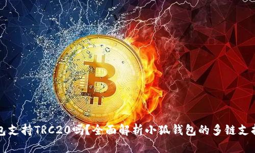 小狐钱包支持TRC20吗?全面解析小狐钱包的多链支持与功能