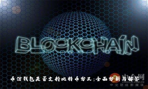 币信钱包是否支持比特币分叉:全面分析与解答