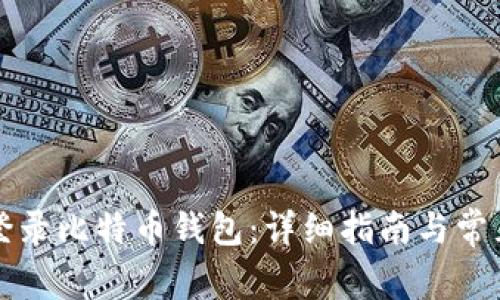 如何安全登录比特币钱包:详细指南与常见问题解析
