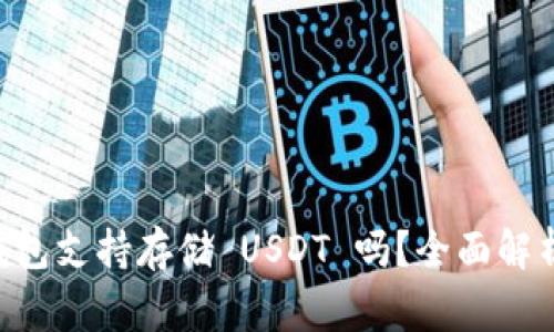 : Ledger 钱包支持存储 USDT 吗?全面解析及使用指南