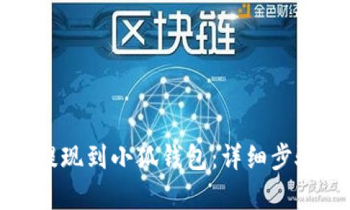 如何将资金提现到小狐钱包：详细步骤与技巧解析