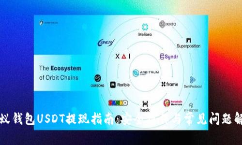 蚂蚁钱包USDT提现指南:安全操作与常见问题解析