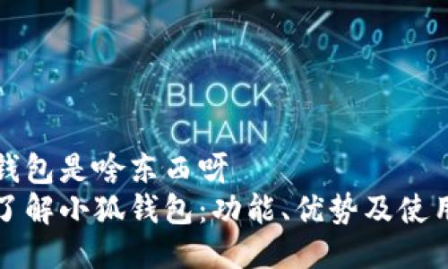 小狐钱包是啥东西呀
全面了解小狐钱包：功能、优势及使用指南