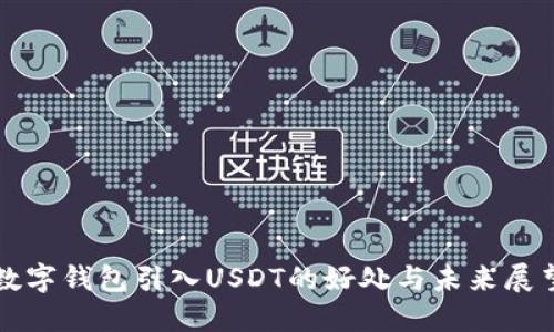 数字钱包引入USDT的好处与未来展望