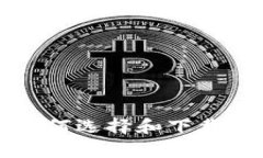 biao ti/biao ti如何选择和下载比特币客户