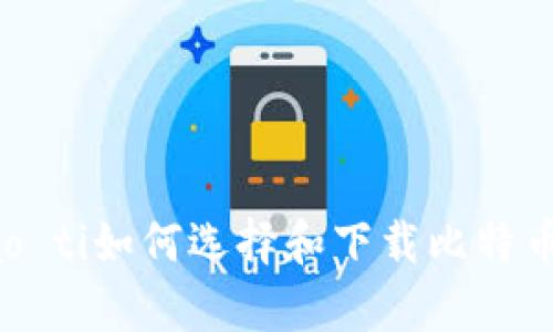 biao ti/biao ti如何选择和下载比特币客户端钱包