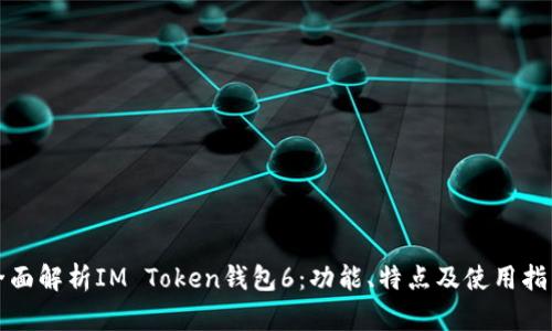 全面解析IM Token钱包6:功能、特点及使用指南