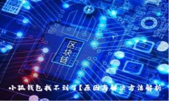 小狐钱包找不到了？原因与解决方法解