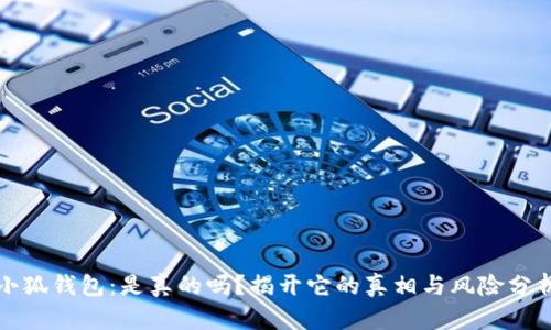 小狐钱包:是真的吗?揭开它的真相与风险分析