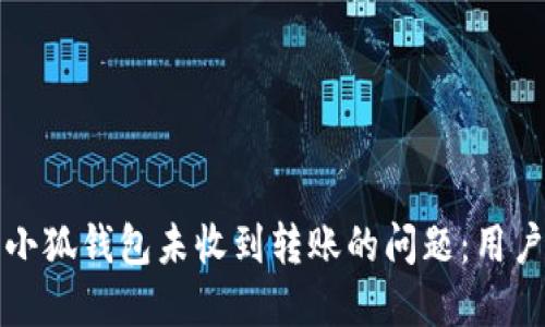 如何解决小狐钱包未收到转账的问题:用户实用指南