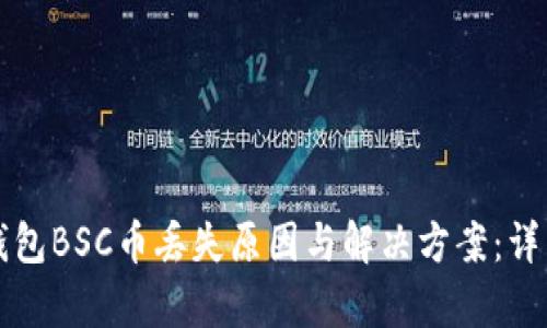 小狐钱包BSC币丢失原因与解决方案:详细解析