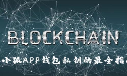 揭秘：如何查看小狐APP钱包私钥的最全指南（附3个步骤）