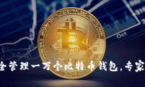 2023年:如何安全管理一万个比特币钱包,专家的10个实用建议