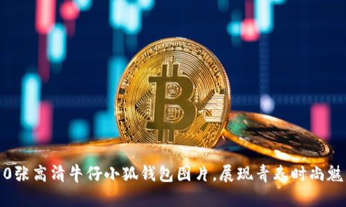 10张高清牛仔小狐钱包图片，展现青春时尚魅力