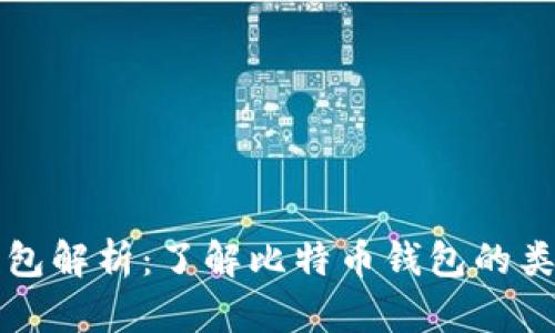 比特币钱包解析:了解比特币钱包的类型与功能