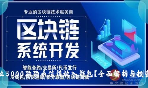 为什么5000狗狗币值得放入钱包?全面解析与投资策略