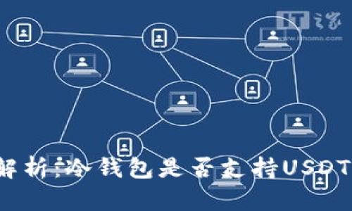 全面解析:冷钱包是否支持USDT收款?