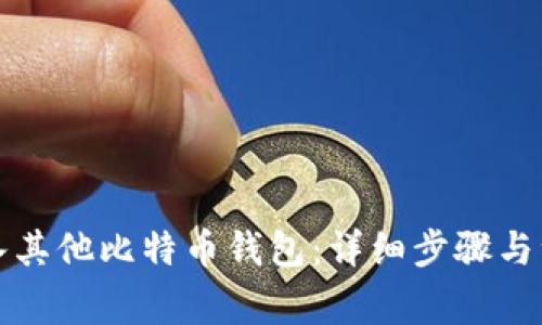 如何导入其他比特币钱包:详细步骤与注意事项