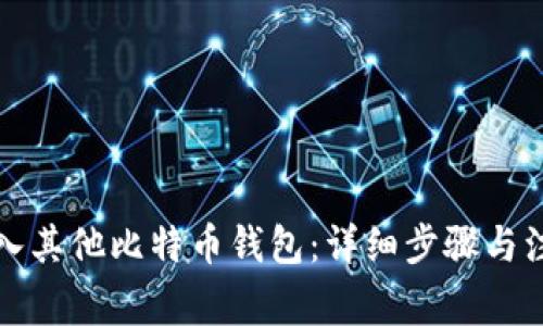 如何导入其他比特币钱包:详细步骤与注意事项