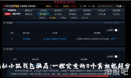 揭秘小狐钱包骗局：一探究竟的8个真相视频分析