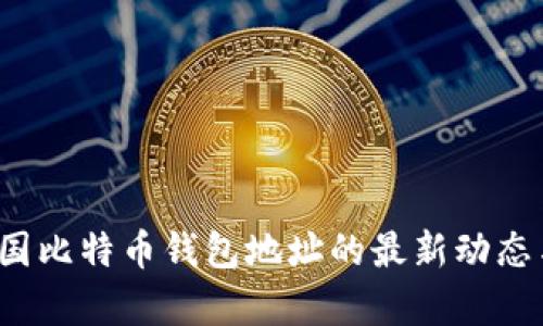 2023年中国比特币钱包地址的最新动态与现状分析