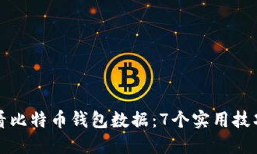 如何查看比特币钱包数据：7个实用技巧和工具