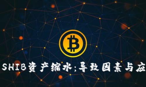 火币钱包的SHIB资产缩水:导致因素与应对策略分析