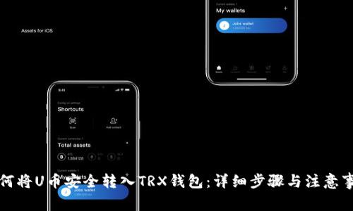 如何将U币安全转入TRX钱包:详细步骤与注意事项