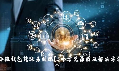 小狐钱包转账未到账?5个常见原因及解决方法
