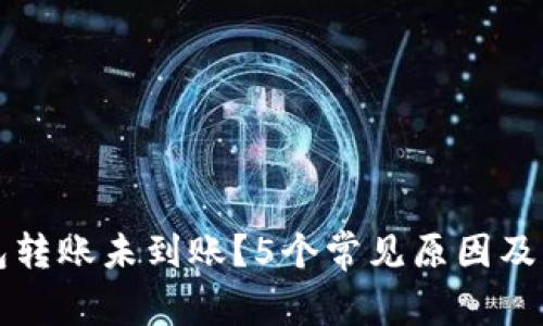 小狐钱包转账未到账?5个常见原因及解决方法