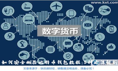 如何安全删除比特币钱包数据:5种方法解析