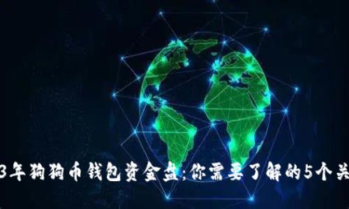 2023年狗狗币钱包资金盘：你需要了解的5个关键点