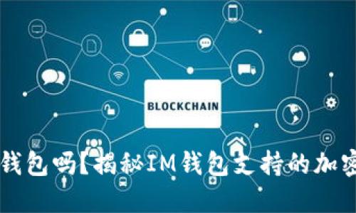 比特币能放在im钱包吗?揭秘IM钱包支持的加密货币及其安全性