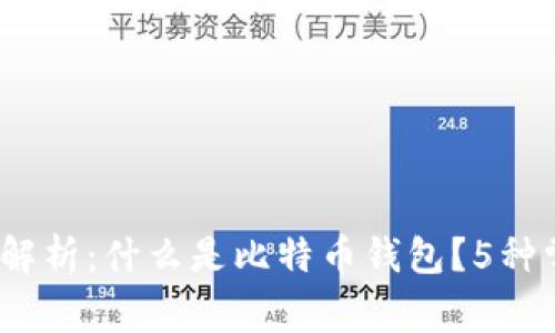 2023年全面解析:什么是比特币钱包?5种常见类型详解