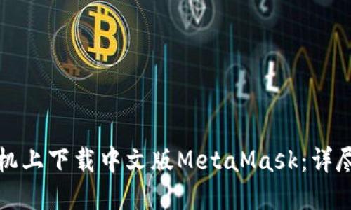 如何在手机上下载中文版MetaMask:详尽步骤指南