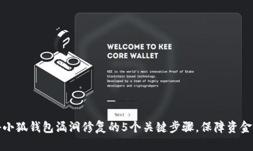 揭秘小狐钱包漏洞修复的5个关键步骤,保障资金安全