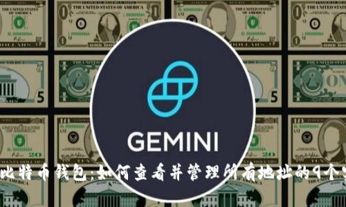 2023年比特币钱包:如何查看并管理所有地址的9个实用技巧