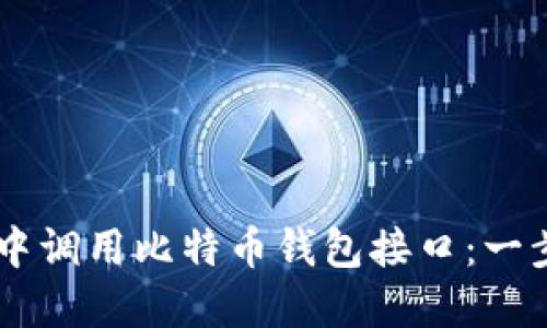 如何在Java中调用比特币钱包接口：一步步完整指南
