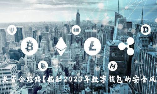 小狐钱包是否会跑路？揭秘2023年数字钱包的安全风险与保障