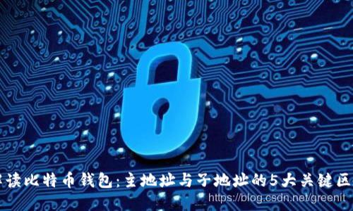 解读比特币钱包：主地址与子地址的5大关键区别
