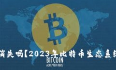 比特币钱包网站会消失吗？2023年比特