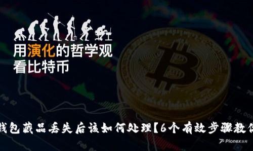 小狐钱包藏品丢失后该如何处理？6个有效步骤教你找回