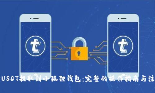 如何将USDT提取到小狐狸钱包:完整的操作指南与注意事项