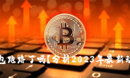 狗狗币钱包跑路了吗?分析2023年最新动态与发展