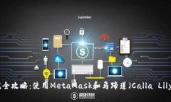   “2023年完全攻略：使用MetaMask和马蹄