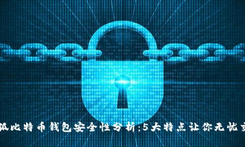 小狐比特币钱包安全性分析：5大特点让你无忧交易