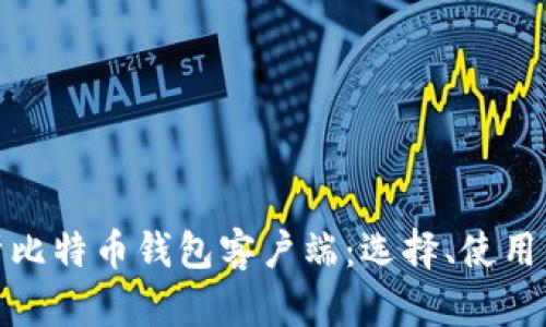 全面解析比特币钱包客户端:选择、使用与安全性